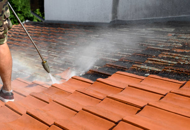 Best House Pressure Washing  in Ashland, WI