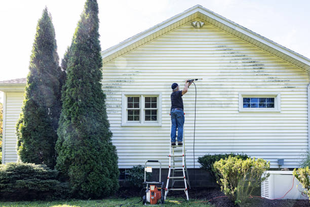 Best Deck Cleaning Services  in Ashland, WI